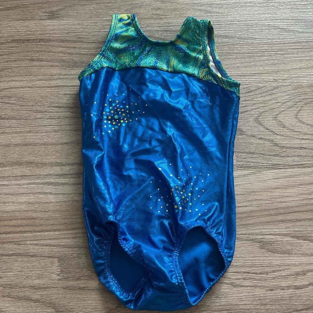 Blue and Green Gymnastics Leotard
